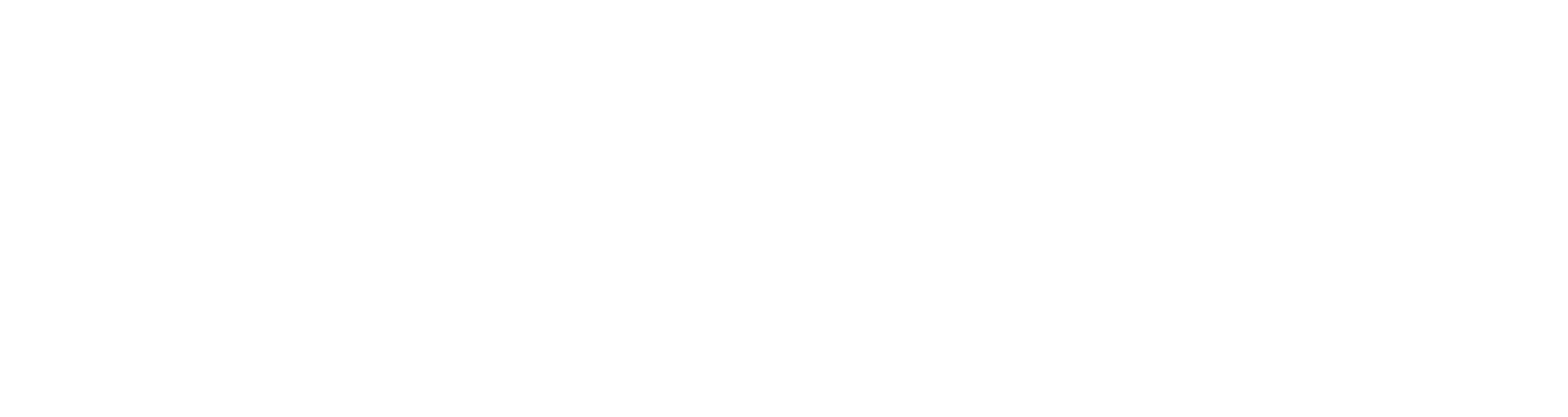 Logo Horizon Anagata TB